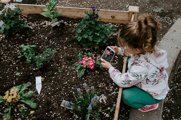 “Kids in the Garden” Free Lesson Plans